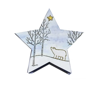 Star shape Paper Gift Box Cardboard Custom Storage cloth gift Box