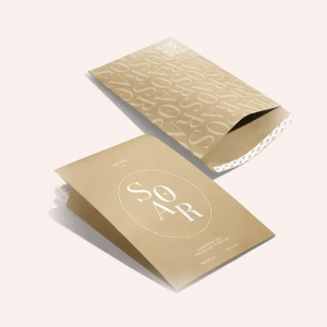 Kraft Paper Mailer Bag with Custom Logo Print Courier Bags Clothing Packing Bags Rigid Kraft Mailer Envelope