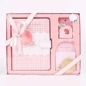 Custom Luxury Hardcover Blush Pink Peach Stationery Gift Set With Stickers And Sticky Notes