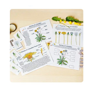 Printable Nature Learning Materials Preschool Curriculum Busy Book Educational Book For Toddler